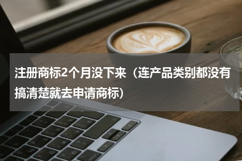 注册商标2个月没下来（连产品类别都没有搞清楚就去申请商标）