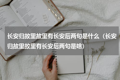 长安归故里故里有长安后两句是什么（长安归故里故里有长安后两句是啥）