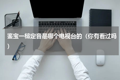 鉴宝一槌定音是哪个电视台的（你有看过吗）