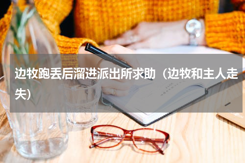 边牧跑丢后溜进派出所求助（边牧和主人走失）