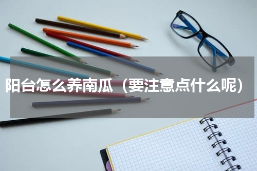 阳台怎么养南瓜（要注意点什么呢）