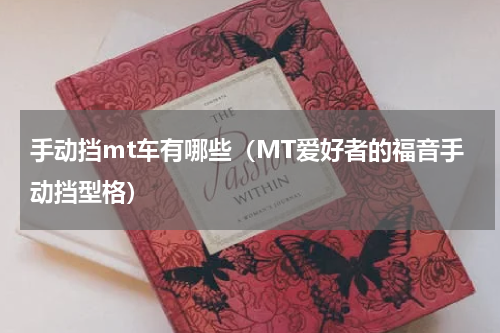 手动挡mt车有哪些（MT爱好者的福音手动挡型格）