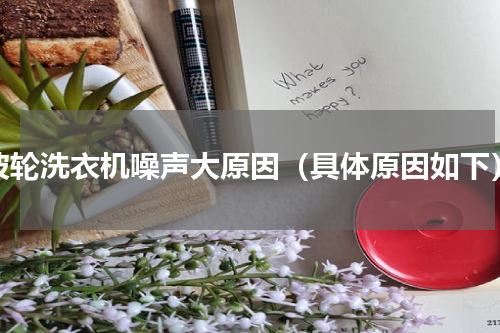 波轮洗衣机噪声大原因（具体原因如下）