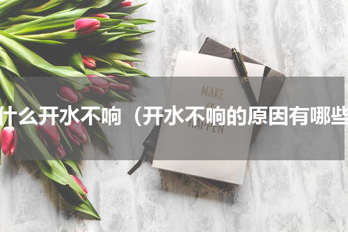 为什么开水不响（开水不响的原因有哪些）