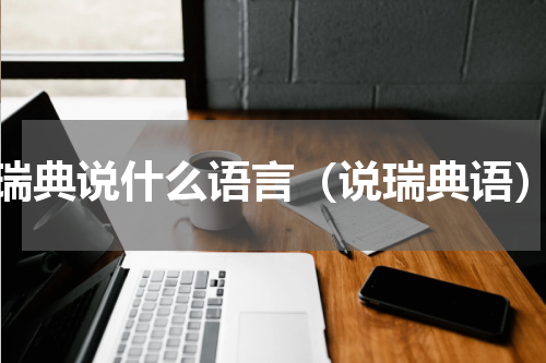 瑞典说什么语言（说瑞典语）
