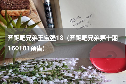 奔跑吧兄弟王宝强18（奔跑吧兄弟第十期160101预告）