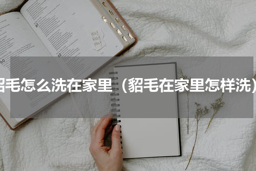 貂毛怎么洗在家里（貂毛在家里怎样洗）
