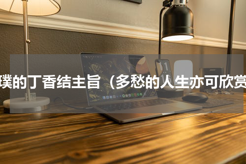 宗璞的丁香结主旨（多愁的人生亦可欣赏）