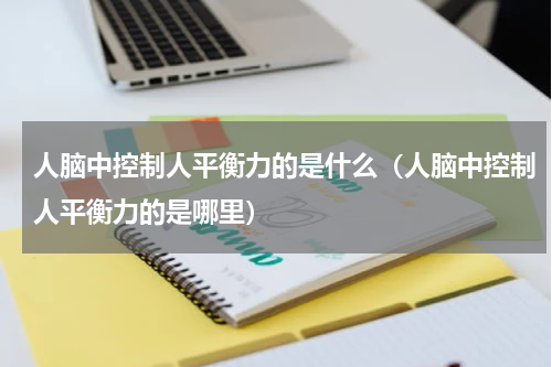 人脑中控制人平衡力的是什么（人脑中控制人平衡力的是哪里）
