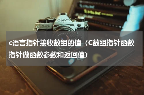 c语言指针接收数组的值（C数组指针函数指针做函数参数和返回值）