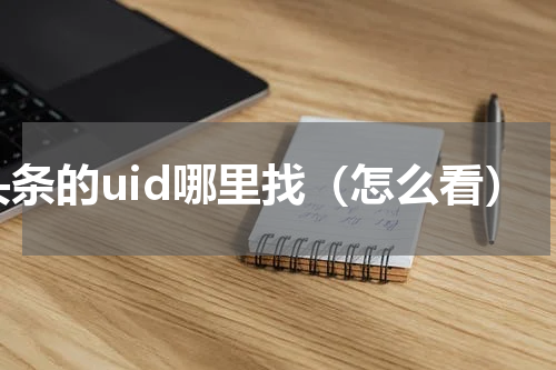 头条的uid哪里找（怎么看）