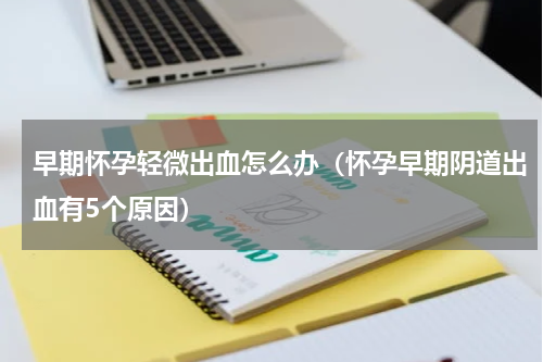 早期怀孕轻微出血怎么办（怀孕早期阴道出血有5个原因）