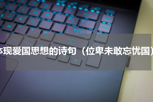 体现爱国思想的诗句（位卑未敢忘忧国）