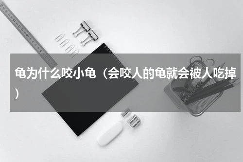 龟为什么咬小龟（会咬人的龟就会被人吃掉）