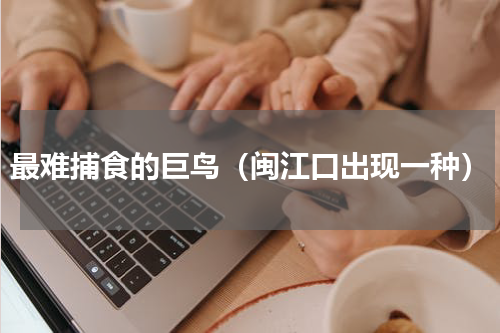 最难捕食的巨鸟（闽江口出现一种）