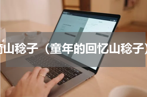 摘山稔子（童年的回忆山稔子）