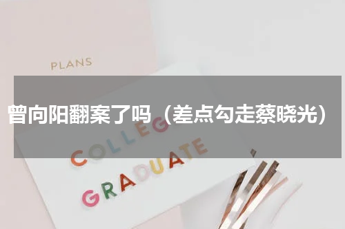 曾向阳翻案了吗（差点勾走蔡晓光）