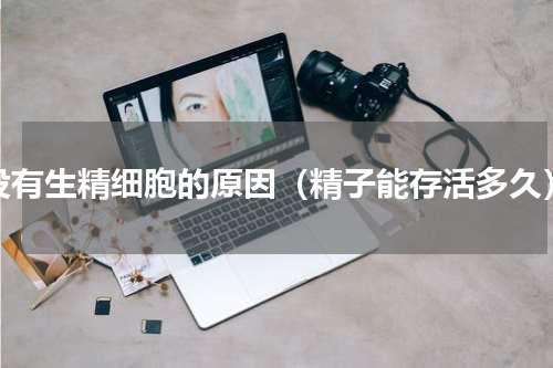 没有生精细胞的原因（精子能存活多久）