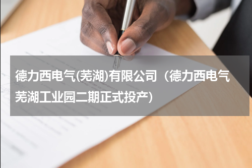 德力西电气(芜湖)有限公司（德力西电气芜湖工业园二期正式投产）