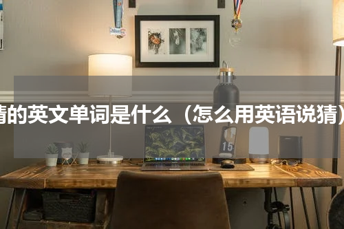 猜的英文单词是什么（怎么用英语说猜）