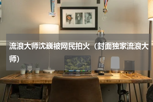 流浪大师沈巍被网民拍火（封面独家流浪大师）
