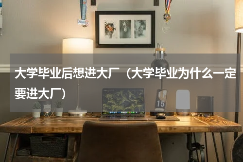 大学毕业后想进大厂（大学毕业为什么一定要进大厂）