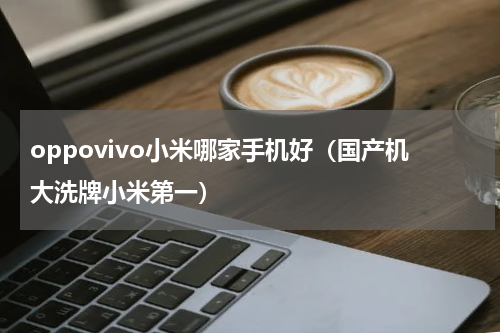 oppovivo小米哪家手机好（国产机大洗牌小米第一）