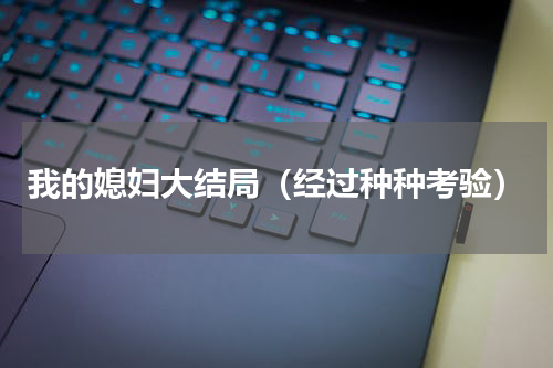 我的媳妇大结局（经过种种考验）