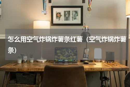 怎么用空气炸锅炸薯条红薯（空气炸锅炸薯条）