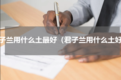 君子兰用什么土最好（君子兰用什么土好）