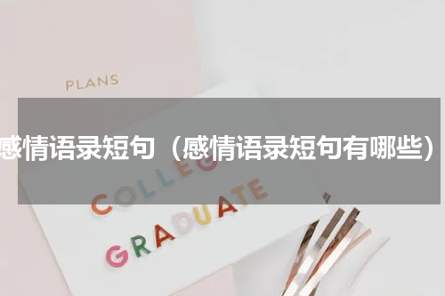感情语录短句（感情语录短句有哪些）