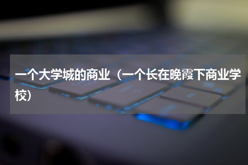 一个大学城的商业（一个长在晚霞下商业学校）