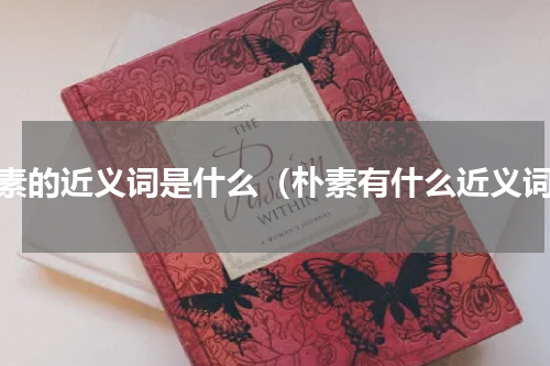 朴素的近义词是什么（朴素有什么近义词）