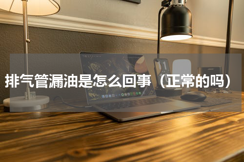 排气管漏油是怎么回事（正常的吗）