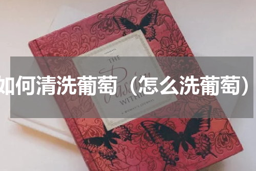 如何清洗葡萄（怎么洗葡萄）