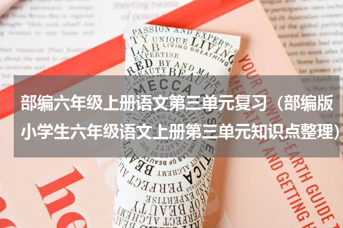 部编六年级上册语文第三单元复习（部编版小学生六年级语文上册第三单元知识点整理）