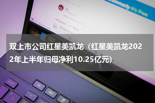 双上市公司红星美凯龙（红星美凯龙2022年上半年归母净利10.25亿元）