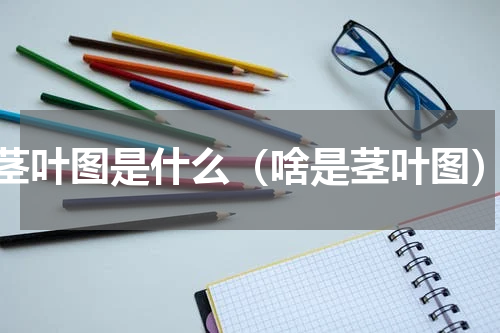 茎叶图是什么（啥是茎叶图）