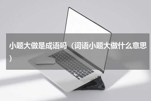 小题大做是成语吗（词语小题大做什么意思）