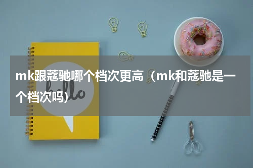 mk跟蔻驰哪个档次更高（mk和蔻驰是一个档次吗）