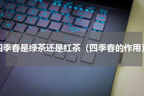 四季春是绿茶还是红茶（四季春的作用）
