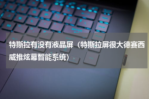 特斯拉有没有液晶屏（特斯拉屏很大德赛西威推炫幕智能系统）