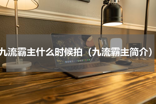 九流霸主什么时候拍（九流霸主简介）