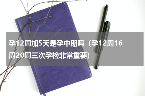 孕12周加5天是孕中期吗（孕12周16周20周三次孕检非常重要）