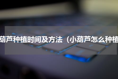 小葫芦种植时间及方法（小葫芦怎么种植）