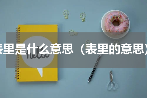 表里是什么意思（表里的意思）