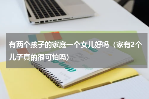 有两个孩子的家庭一个女儿好吗（家有2个儿子真的很可怕吗）