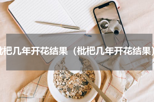 枇杷几年开花结果（枇杷几年开花结果）