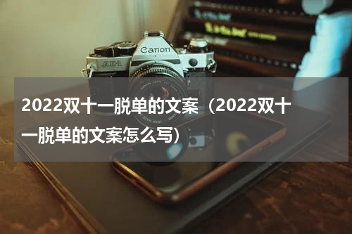 2022双十一脱单的文案（2022双十一脱单的文案怎么写）