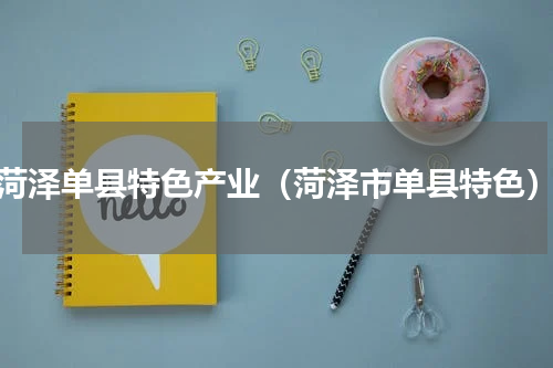 菏泽单县特色产业（菏泽市单县特色）